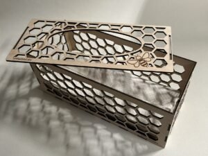 IMG_4118 Salvrätikukarp